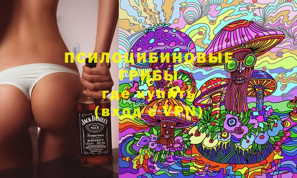 ALPHA-PVP Алексеевка