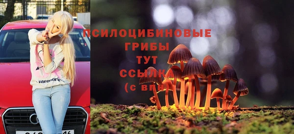 соль ск Алексин