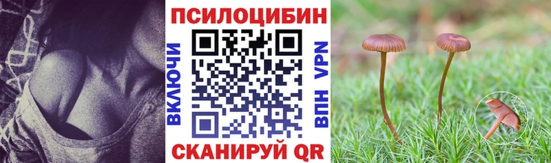Галлюциногенные грибы Cubensis  купить наркотики цена  Нарьян-Мар 